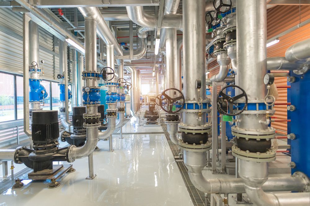 shutterstock_1741149554+(1)-1920w